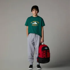 Camiseta Holgada Con Estampado Gráfico Varsity Para Jóvenes-The North Face Online