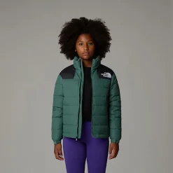 Chaqueta De Plumón Massif Para Jóvenes-The North Face Outlet