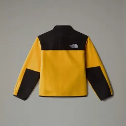 Chaqueta Denali Para Niños-The North Face Sale