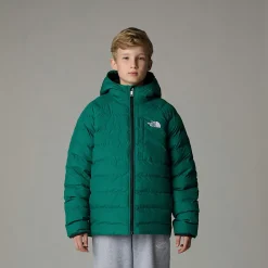 Chaqueta Reversible Perrito Para Niño-The North Face Hot