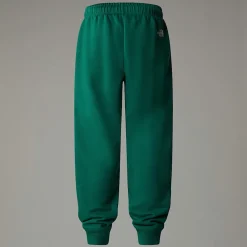 Pantalón De Chándal Holgado Essential Para Jóvenes-The North Face Clearance