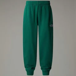 Pantalón De Chándal Holgado Essential Para Jóvenes-The North Face Clearance