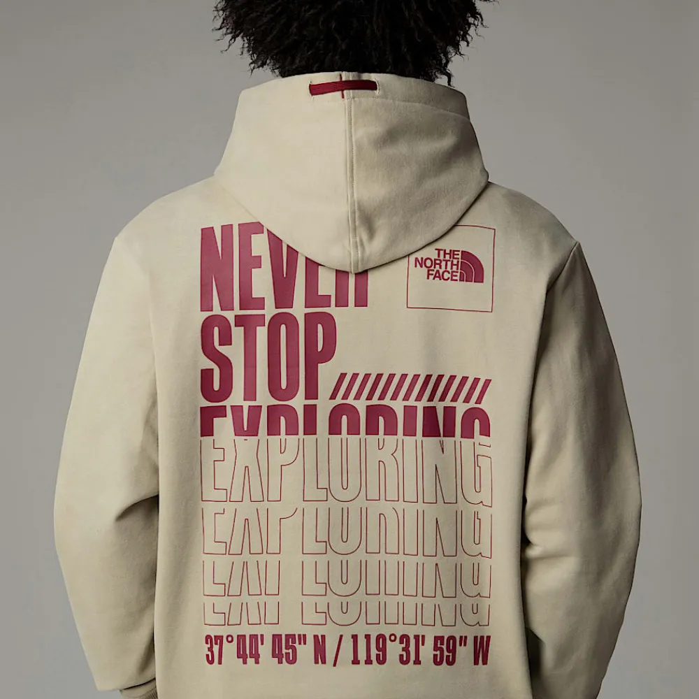 Sudadera Con Capucha Coordinates Para Hombre-The North Face Discount