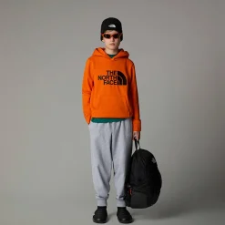Sudadera Con Capucha Drew Peak Para Niño-The North Face Clearance