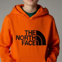 Sudadera Con Capucha Drew Peak Para Niño-The North Face Clearance