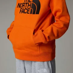 Sudadera Con Capucha Drew Peak Para Niño-The North Face Clearance