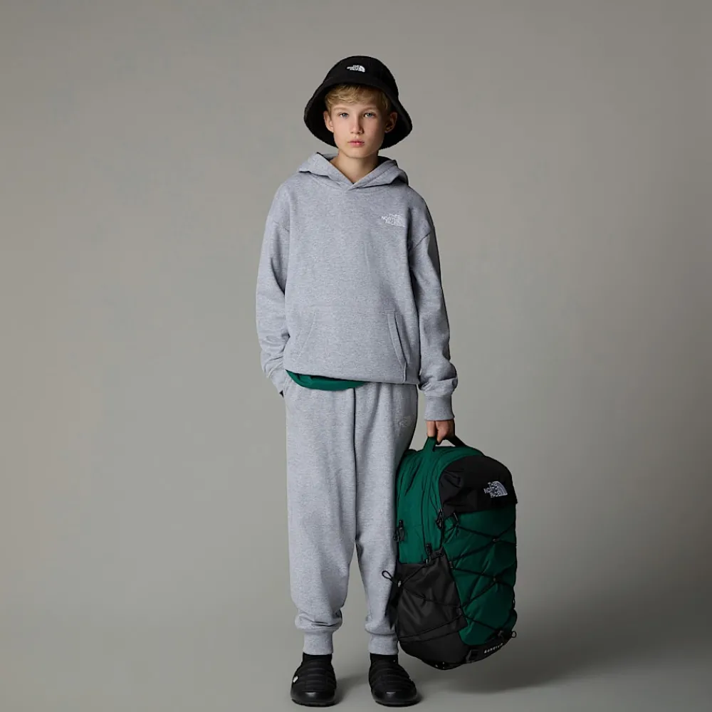 Sudadera Holgada Con Capucha Essential Para Jóvenes-The North Face New
