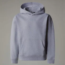 Sudadera Holgada Con Capucha Essential Para Jóvenes-The North Face New