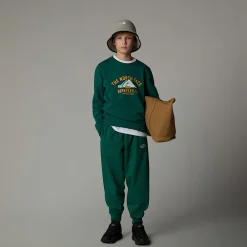 Sudadera Holgada Con Estampado Gráfico Varsity Para Jóvenes-The North Face Online