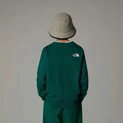 Sudadera Holgada Con Estampado Gráfico Varsity Para Jóvenes-The North Face Online