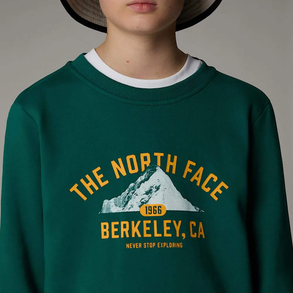 Sudadera Holgada Con Estampado Gráfico Varsity Para Jóvenes-The North Face Online