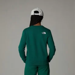 Sudadera Holgada Con Estampado Gráfico Varsity Para Jóvenes-The North Face Online