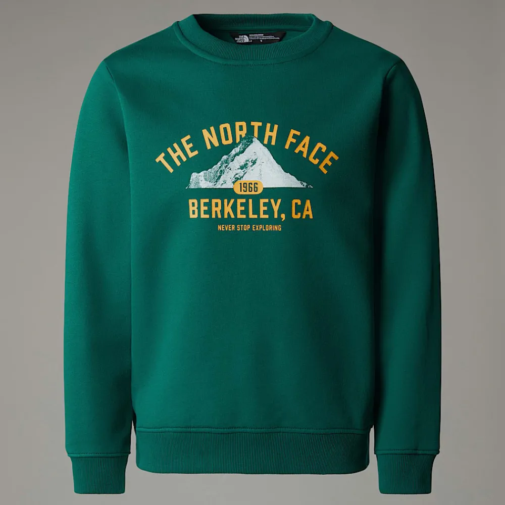 Sudadera Holgada Con Estampado Gráfico Varsity Para Jóvenes-The North Face Online