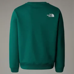 Sudadera Holgada Con Estampado Gráfico Varsity Para Jóvenes-The North Face Online