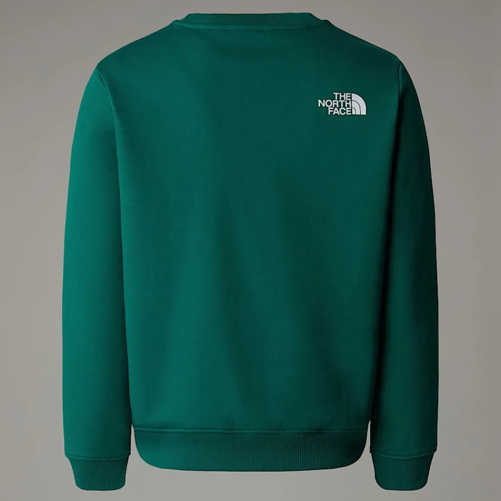 Sudadera Holgada Con Estampado Gráfico Varsity Para Jóvenes-The North Face Online